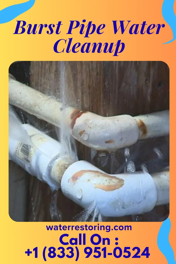 Burst Pipe Water Cleanup in Grimes, IA